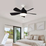 E27 screw-in detachable remote-controlled ceiling fan light
