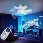 Creative ceiling fan light